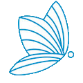 Asis Schmetterling